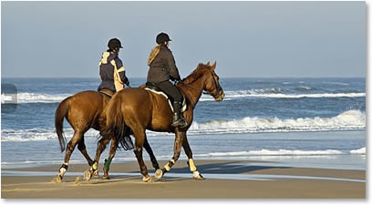 horseback riding on beach at seabrook