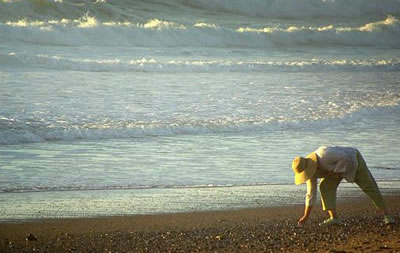 beachcombing at seabrook vacation rental